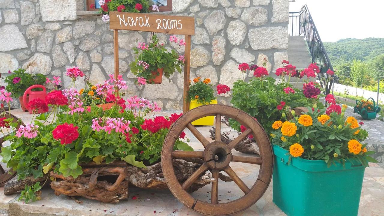 Village House - Novak Rijecani Rijeka Crnojevića 외부 사진